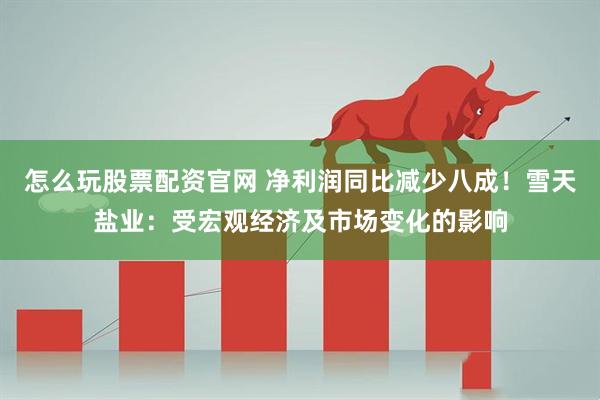 怎么玩股票配资官网 净利润同比减少八成！雪天盐业：受宏观经济及市场变化的影响