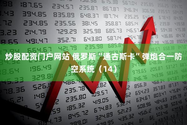 炒股配资门户网站 俄罗斯“通古斯卡”弹炮合一防空系统(14)