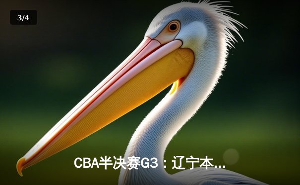 CBA半决赛G3：辽宁本钢加时逆转广东宏远，赵继伟砍35分创生涯新高 - 3